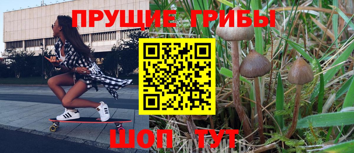 Псилоцибиновые грибы мухоморы  Вход с VPN  Пенза 